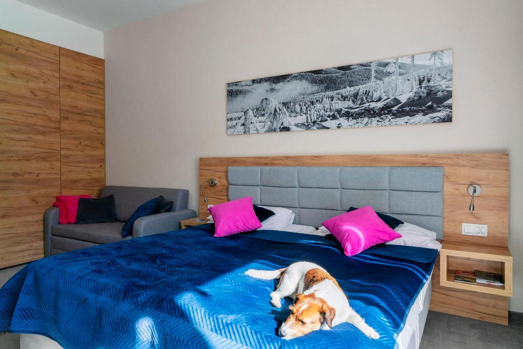 Apartament Folgaria - Aparthotel Panorama Czarna Gora Sienna  Zewnętrze zdjęcie